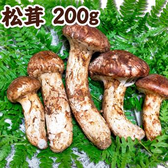タカ＆ヨシ 南信州産　豊丘産　松茸　190g 10月上旬〜 長野県豊丘産 松茸(200g) ｜ 野菜/きのこ 産直アウル 農家