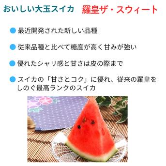旬祭限定】《予約》甘～い尾花沢大玉夏スイカ 羅王ザ・スウィート 4L 1