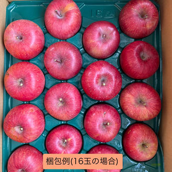 家庭用】サンふじ 約5kg(送料別) | 果物/りんご 産直アウル 農家から