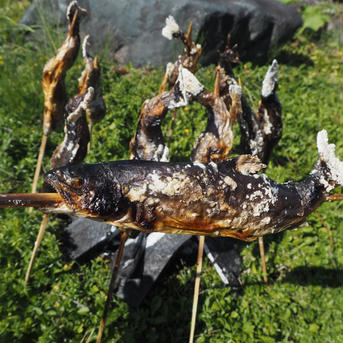 [岩魚]イワナ12尾入(19cmサイズ)冷凍 12尾/1㎏ 魚介類/川魚通販