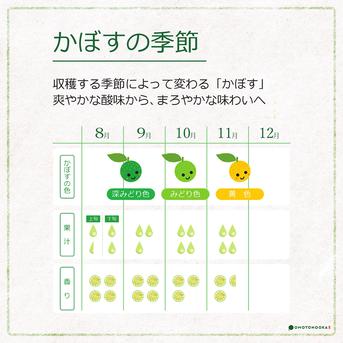 小さくて使いやすい！種無し小玉かぼす2kg（約40～60個） 種なしかぼす小玉2kg 果物/香酸柑橘(ライム・レモン等)通販