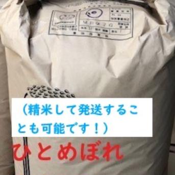 蔵出し米】R7年産ひとめぼれ玄米30kg ｜ 米・穀物/玄米 産直アウル