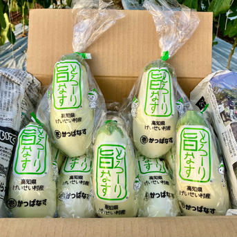 白ナス『まる壱かっぱなす・とろ～り旨なす』 | 野菜/茄子 産直アウル