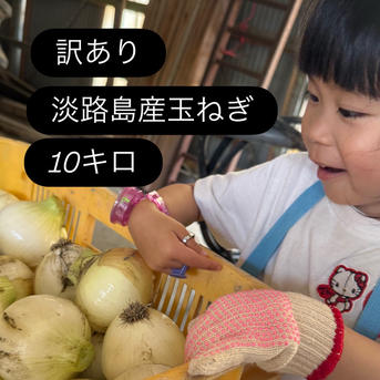 訳あり】淡路島産玉ねぎ10キロ ｜ 野菜/玉ねぎ 産直アウル 農家・漁師