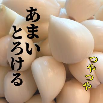 【テレビで紹介】市場に出回らない「半」生にんにく15玉（青森県十和田市産白玉王） 青森にんにく白玉王（半生）15玉 野菜/にんにく通販