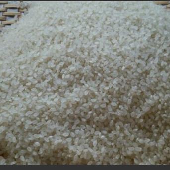 農家直送 令和7年産 自然乾燥米 秋田県産あきたこまち 玄米20kg ｜ 米