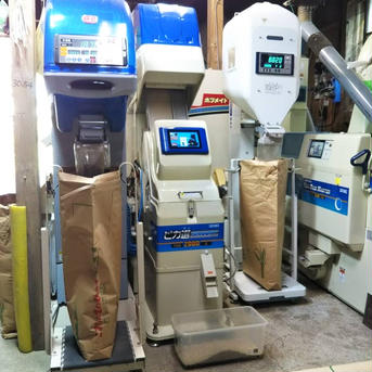 秋田産あきたこまち　白米5㎏ 5kg 米・穀物/米/精米通販