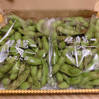 【10月発送】令和2年京都丹波産丹波黒大豆枝豆さや取り500g×2【クール便⠀】 約1kg 野菜/豆類通販