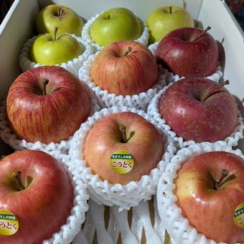 青森県幻の林檎！高徳 | 果物/りんご 産直アウル 農家から直接野菜など