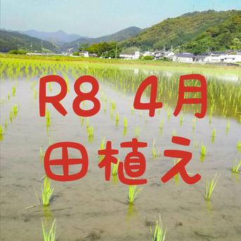 送料込み 令和8年産 新米 高知県産 コシヒカリ 玄米30kg(袋込み) ｜ 米