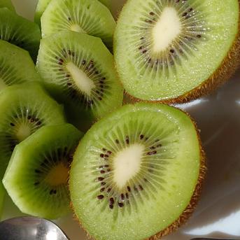 キウイフルーツ20個入 | 果物/キウイフルーツ 産直アウル 農家から直接