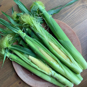 朝採り新鮮❗️皮付きヤングコーン 50本　5キロ 野菜/とうもろこし通販