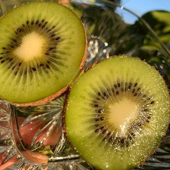 12月上旬発送【今だけ10％増量】甘っ！ グリーンキウイの概念が変わる