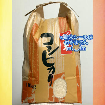 白米】令和7年丹波篠山産コシヒカリ 10kg | 米・穀物/米/精米 産直