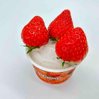 【冷凍いちご約2kg分おまけ特別キャンペーン！】【いちごアイス12個入＆冷凍いちご約2kg】【冷凍いちごの在庫がなくなり次第終了！】【旬祭限定】 アイス12個、冷凍いちご約2kg 加工品/アイス通販