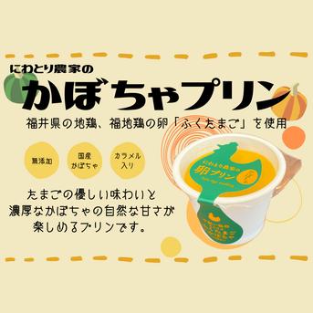 【希少な福地鶏使用】かぼちゃプリン満喫セット（9個セット） 90g×９個 加工品/その他加工品通販