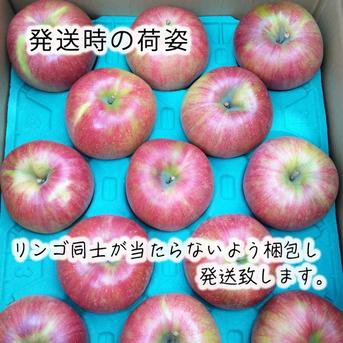 シナノスイート ご家庭用 3kg【正〇様限定商品】 ｜ 果物/りんご 産直