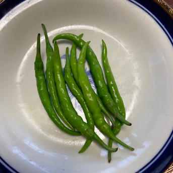 お盆にはこれ！伝統野菜　薄皮丸茄子　漬物用　1.0kg 薄皮茄子　3パック　500g✖️3 野菜/茄子通販