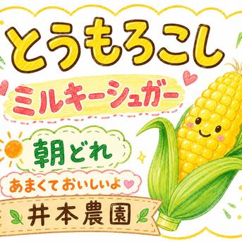 ぷりっぷり！とうもろこし【ミルキーシュガー ｜ 野菜/とうもろこし