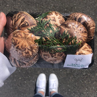津山サンシャイン〜原木椎茸パネル下暮らし〜200g 200g 野菜/きのこ通販