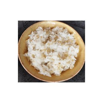 無肥料・自然栽培の古代もち米 緑米（玄米/R7年産）800g【チャック袋