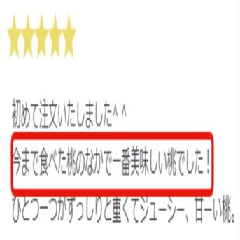 【8月下旬予約】TBSラヴィットで話題沸騰☆"祝"産直受注1万件突破！！あしたの内村!!ニノさんTV出演☆レストラン御用達もも1kg【お試し特価キャンペーン】朝採れ桃【旬祭限定】 樹上完熟桃約1kg3～4個 果物/もも通販