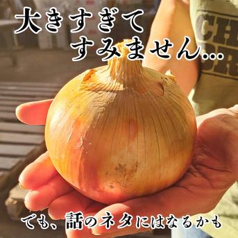 【超大玉20kg】淡路島たまねぎ 訳あり 特別栽培 兵庫県認証食品 ひょうご安心ブランド あさひサンファーム 大きいサイズ LL 2L 3L 3L以上 淡路島産たまねぎ 南あわじ市 飲食店 共同購入 グループ購入 玉ねぎ レシピ付き！ 超大玉20kg 淡路島たまねぎ 野菜/玉ねぎ通販