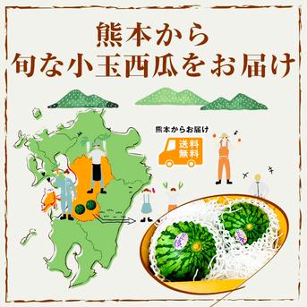 【選果落ち 訳あり商品】 食べ比べ 熊本 2種類 小玉すいか 合計 4玉 約4Kg Sサイズ以上 おまかせ 規格外 家庭用 贈答不可 加工用 (002)小玉西瓜  熊本県産 果物 フルーツ  合計 4玉 約4Kg  果物/スイカ通販