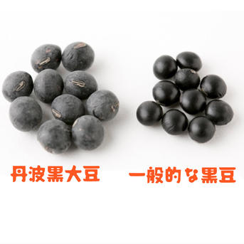 訳あり】丹波篠山産 黒大豆「丹波黒」400g （大小混合）☆産地直送☆令