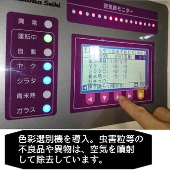 【玄米】 5kg 新米 特別栽培米 こしひかり 京都府産 玄米5kg　1袋 米・穀物/玄米通販