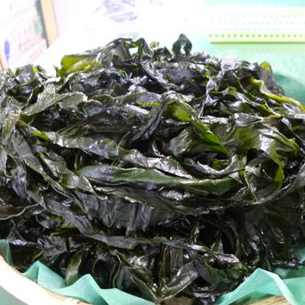 三陸産・産地直送】乾燥わかめ 1kg 美味しい 200g×5袋 大容量 海藻 ワカメ