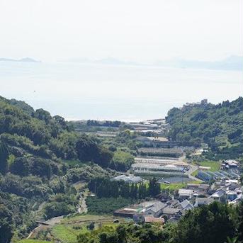 清水果樹園の不知火デコみかん 4.5キロ 果物/その他柑橘類通販