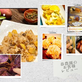 【本場種子島の安納芋】超プチサイズ5キロ 5キロ 野菜/さつまいも通販