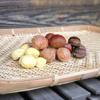 完熟熟成栗】栗4L～3L（生栗）1.5kg（1500g） | 果物/栗 産直