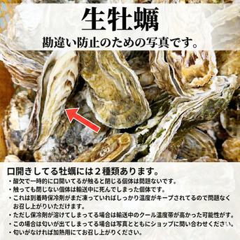 生食用牡蠣10kg 松島牡蠣屋 生食可能な殻付き牡蠣 生牡蠣 牡蛎