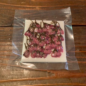 桜の花　塩漬け 約10g その他/その他通販