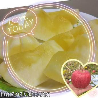 全玉みつ入り◆家庭用◆完熟ふじりんご約4kg＆ジュース1本セット りんご約4kg*ジュース1本 果物/果物セット・詰め合わせ通販