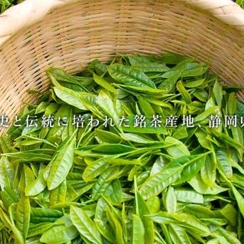 [リピーターさん必見]お買い得な粉末茶　煎茶3つセット 1パック40g✖️3つ お茶/緑茶通販