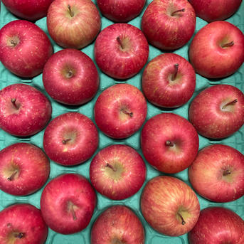 サンふじ家庭用 小玉サイズ5k（23玉〜25玉） | 果物/りんご 産直アウル