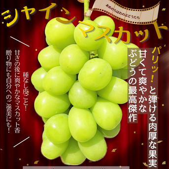 朝どれ新鮮】クイーンニーナとシャインマスカットの人気セット ｜ 果物