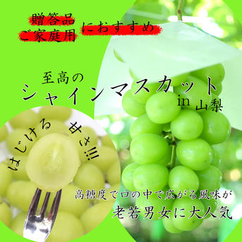 食品 【先着2名】訳あり山梨県産シャインマスカット3キロ