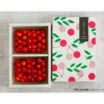 紅王　2L1kgさくらんぼ 2パックセット クール便専用 旬祭限定】さくらんぼ やまがた紅王 450g×2パック ｜ 果物/さくらんぼ