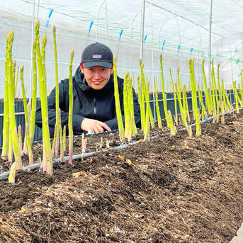 👑送料無料👑【極み】２kg 🥇その日採れた最上級🥇おおもりやアスパラ 極み　2kg 野菜/アスパラガス通販