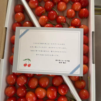 さくらんぼ 紅秀峰 (1kg) 7月上旬から発送予定 ｜ 果物/さくらんぼ