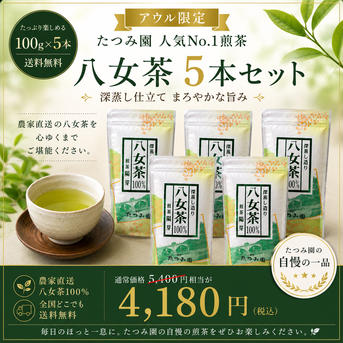 2026年新茶】家庭用八女茶100g×5本セット｜たつみ園 ｜ お茶/緑茶 産直