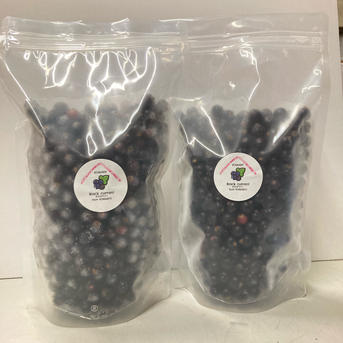 冷凍カシスベリー1kg ｜ 果物/ベリー類 産直アウル 農家・漁師など生産