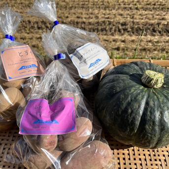 【秋の味覚！】【北海道発】カボチャとじゃがいも3種(3kg) セット 7kg 野菜/かぼちゃ通販