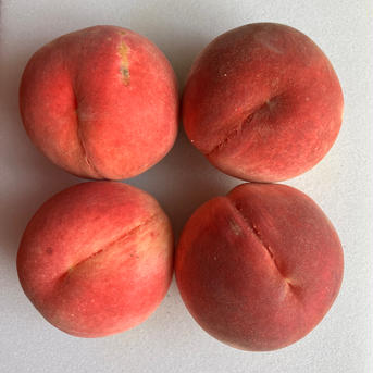 新鮮ヤマモモ　2キロ(クール便) 🆒クール便🆒＜小玉2キロ＞【南アルプスの桃🍑幸茜】 減農薬/無