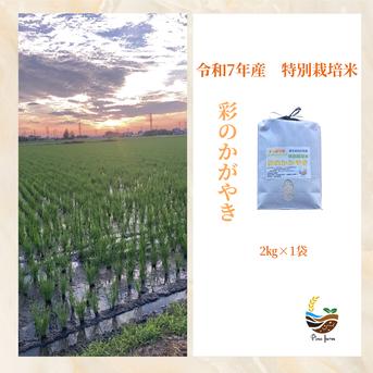 R7年産特別栽培米 彩のかがやき 2kg ｜ 米・穀物/米/精米 産直アウル 