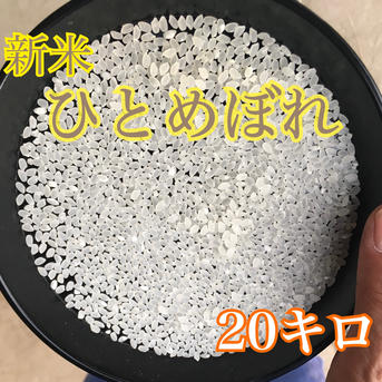 新米　令和7年ひとめぼれ　20キロ　玄米 令和7年産 新米ひとめぼれ 玄米20キロ | 米・穀物/玄米 産直アウル